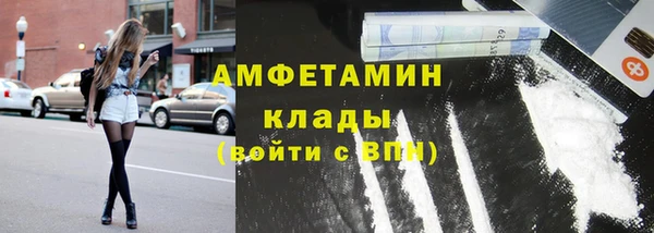 шишки Баксан