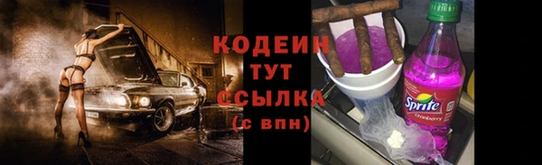 шишки Баксан