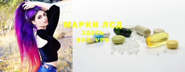 шишки Баксан
