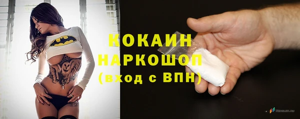 шишки Баксан