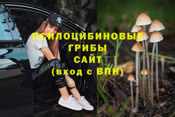 шишки Баксан
