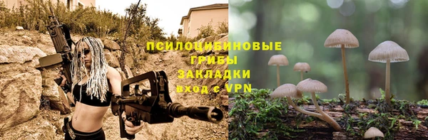 шишки Баксан