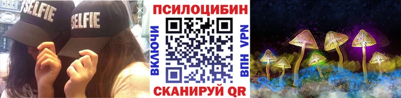 купить наркотик  МЕГА ссылка  Псилоцибиновые грибы мицелий  Приморск 