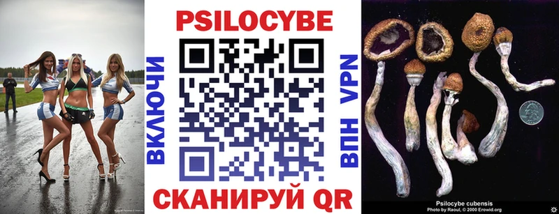 Галлюциногенные грибы ЛСД Приморск